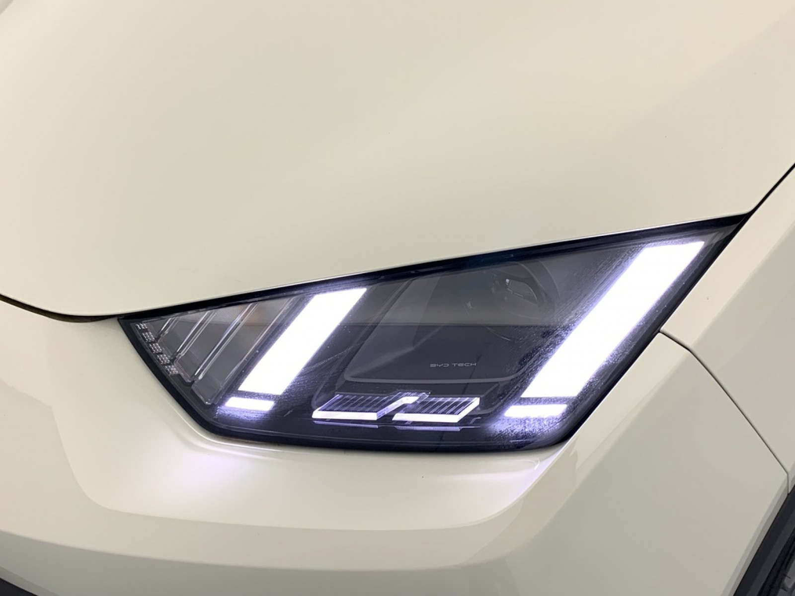 BYD - DOLPHIN SURF - #875591 - 24