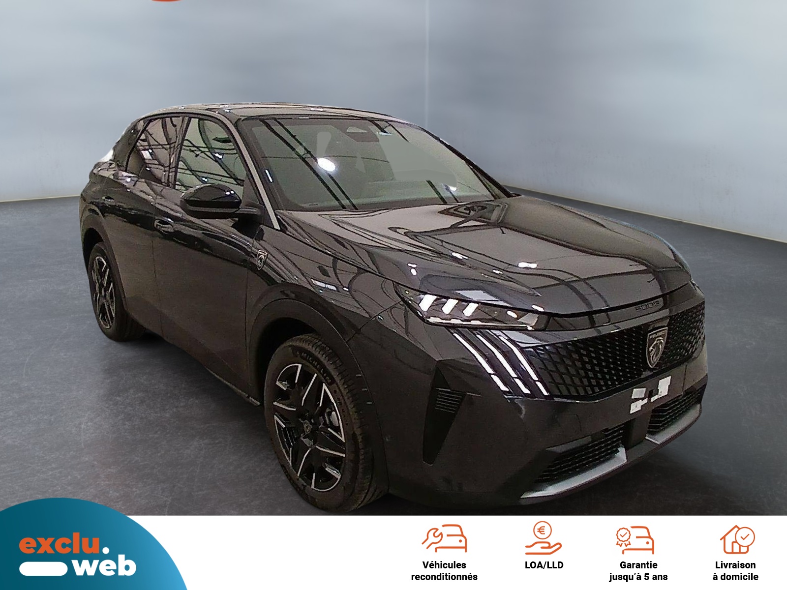 Image véhicule  PEUGEOT 3008 (1)