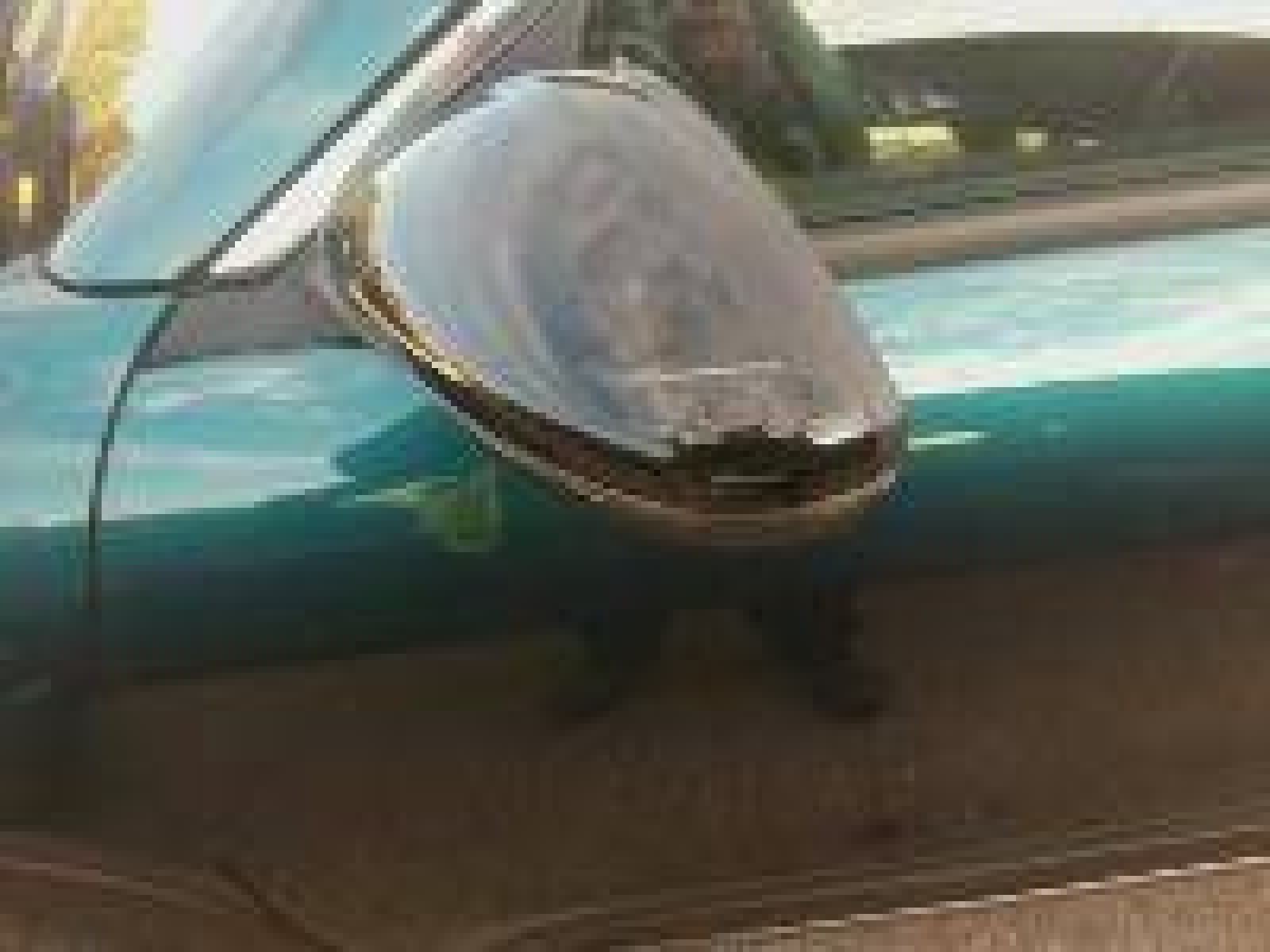 FIAT - 600 - #876910 - 14