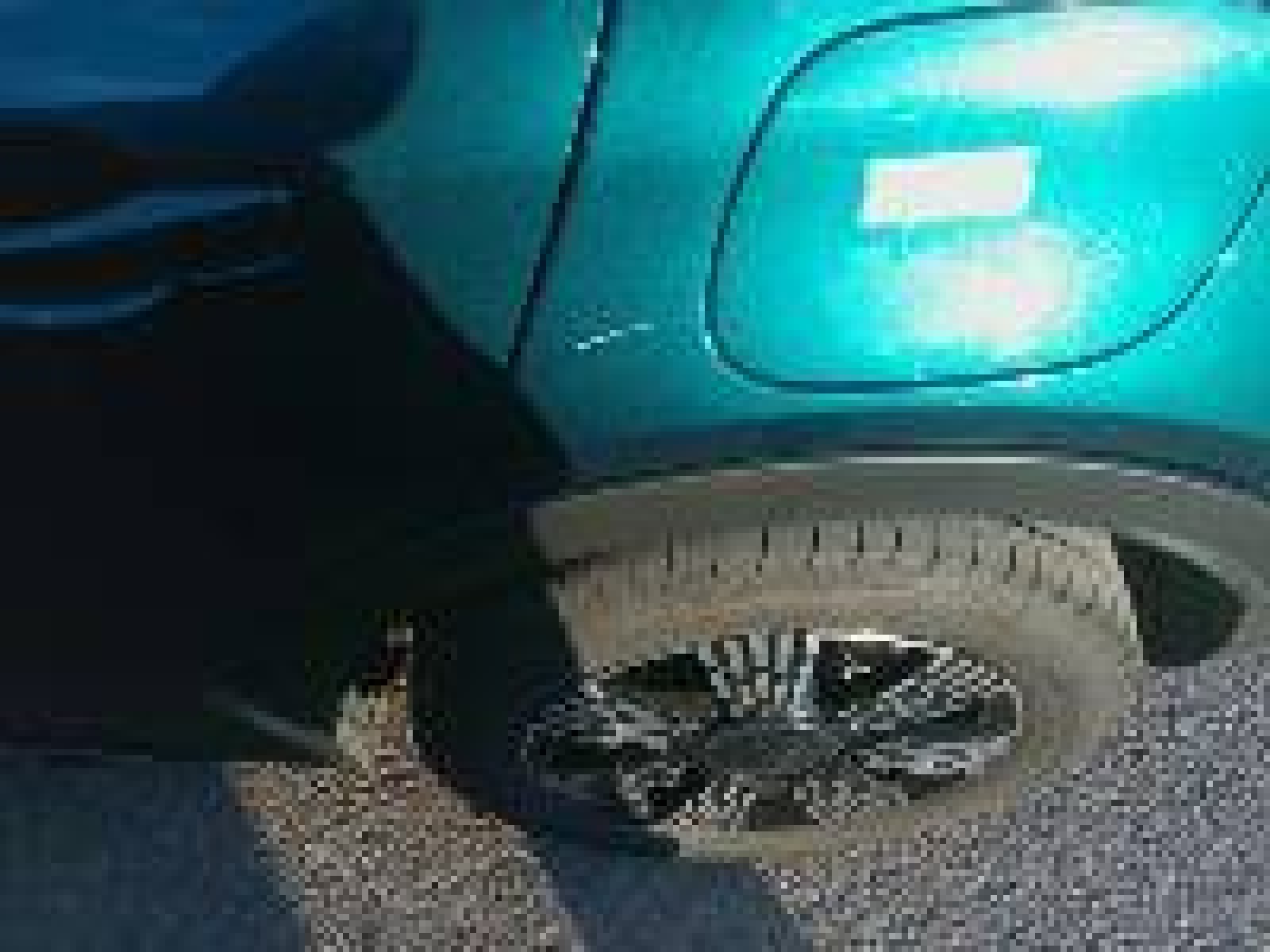 FIAT - 600 - #876910 - 16