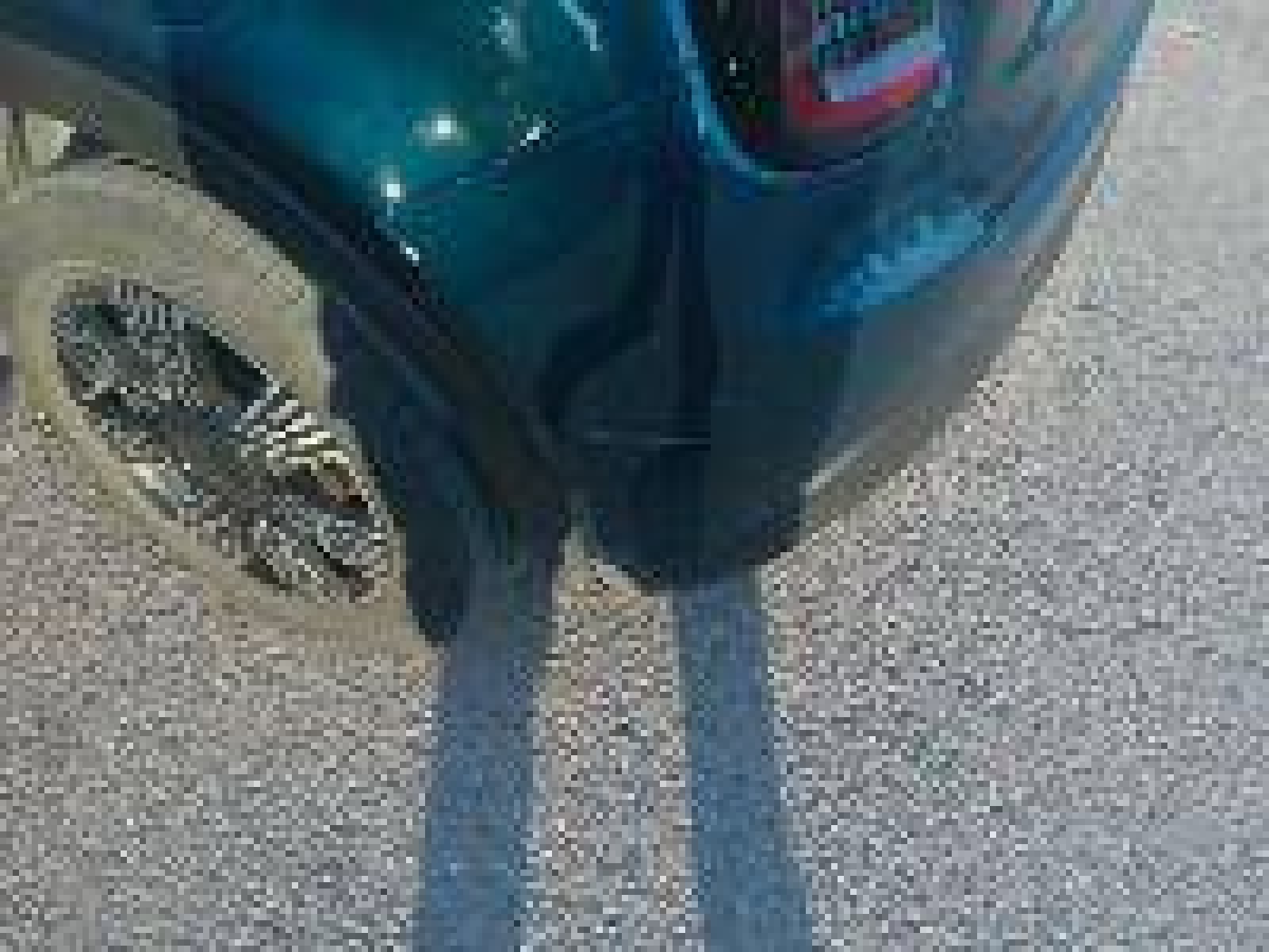 FIAT - 600 - #876910 - 17