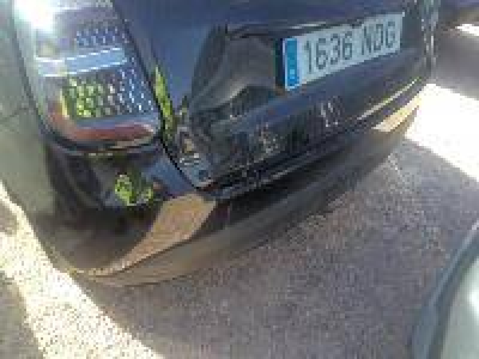 FIAT - 600 - #877089 - 10