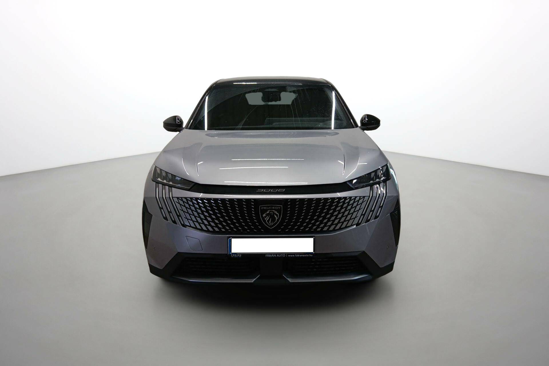 Image véhicule  PEUGEOT 3008 (8)