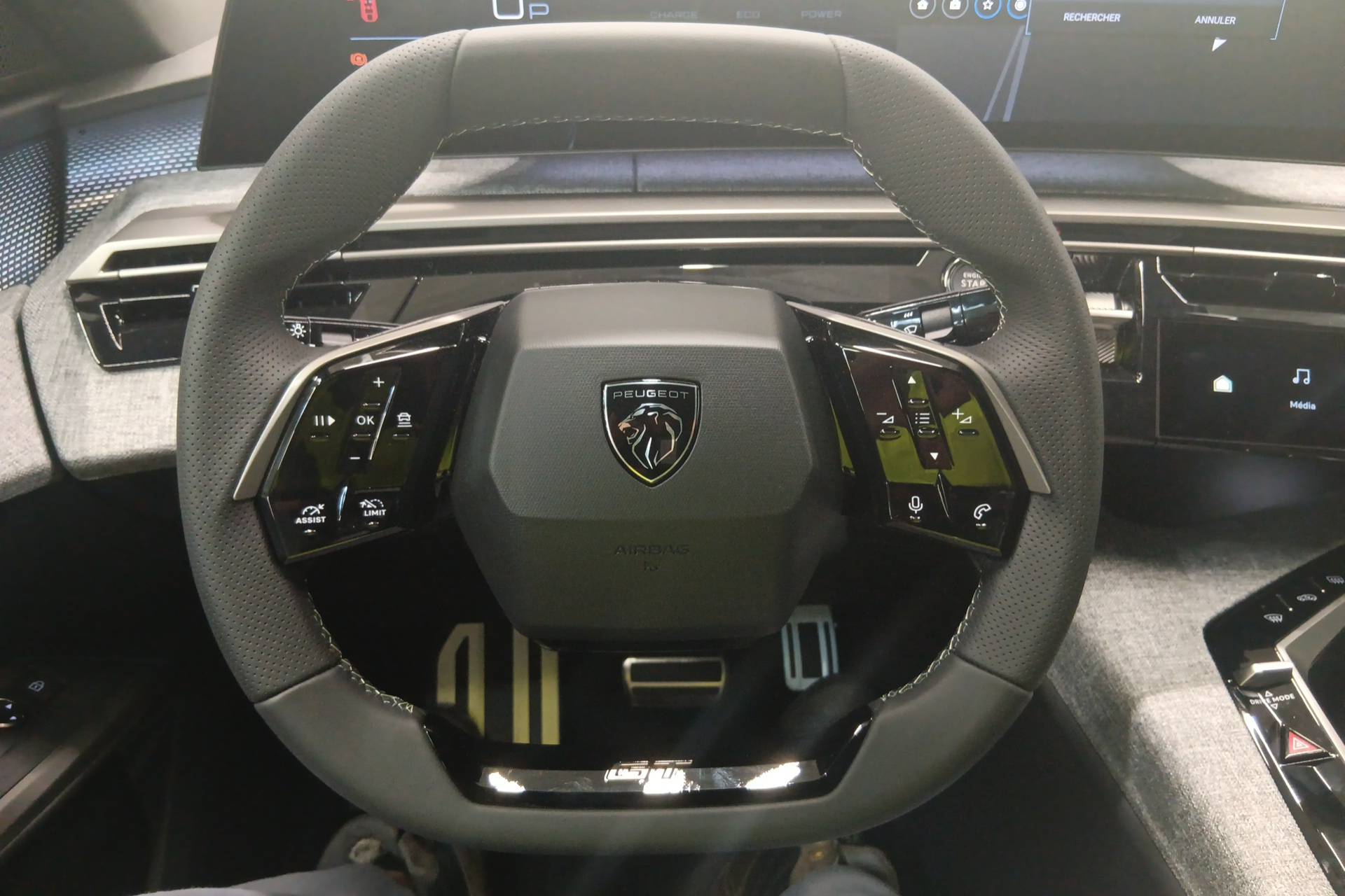 Image véhicule  PEUGEOT 3008 (14)