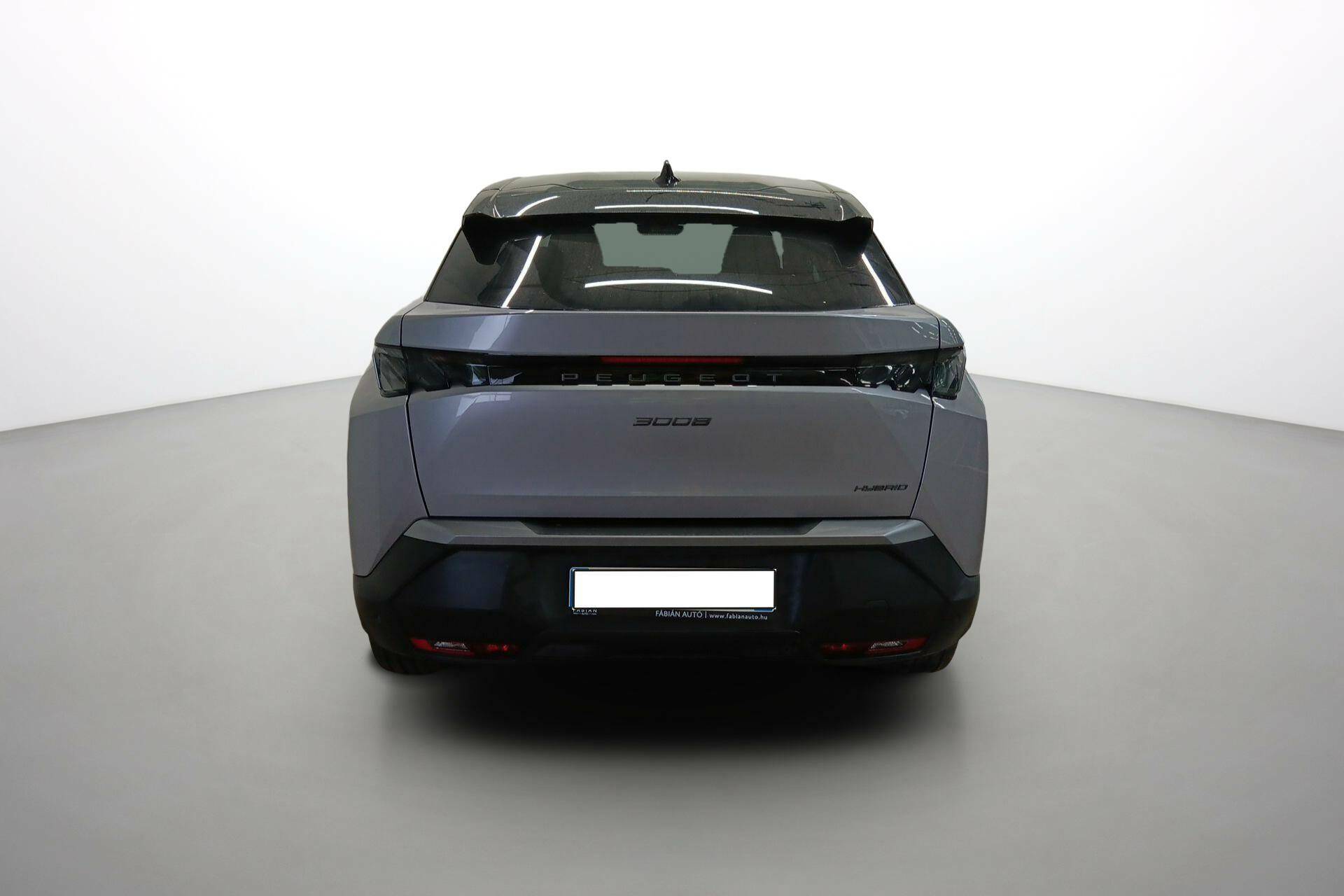 Image véhicule  PEUGEOT 3008 (9)