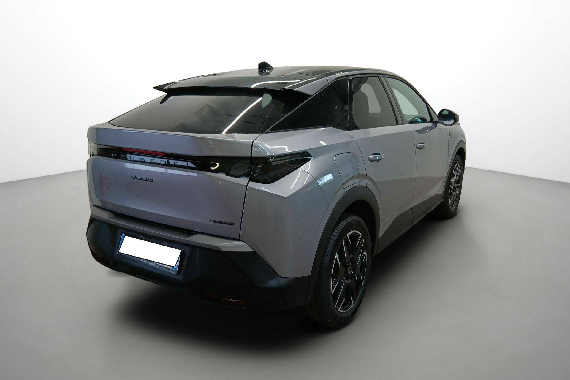 Image véhicule  PEUGEOT 3008 (7)