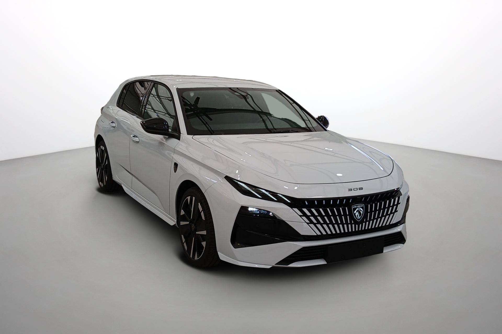 Image véhicule  PEUGEOT Nouvelle 308 (3)