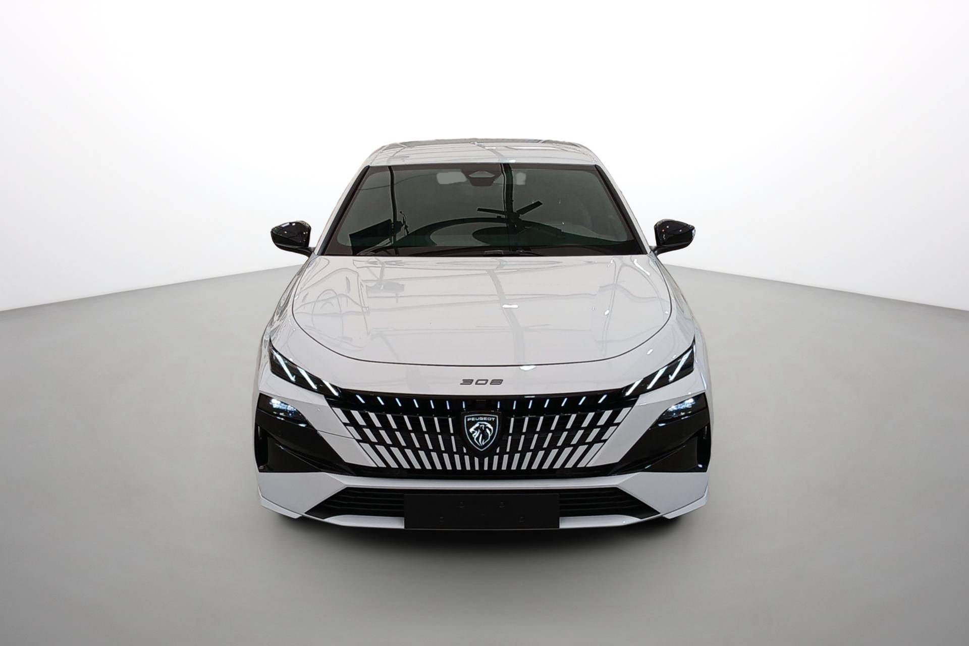 Image véhicule  PEUGEOT Nouvelle 308 (8)