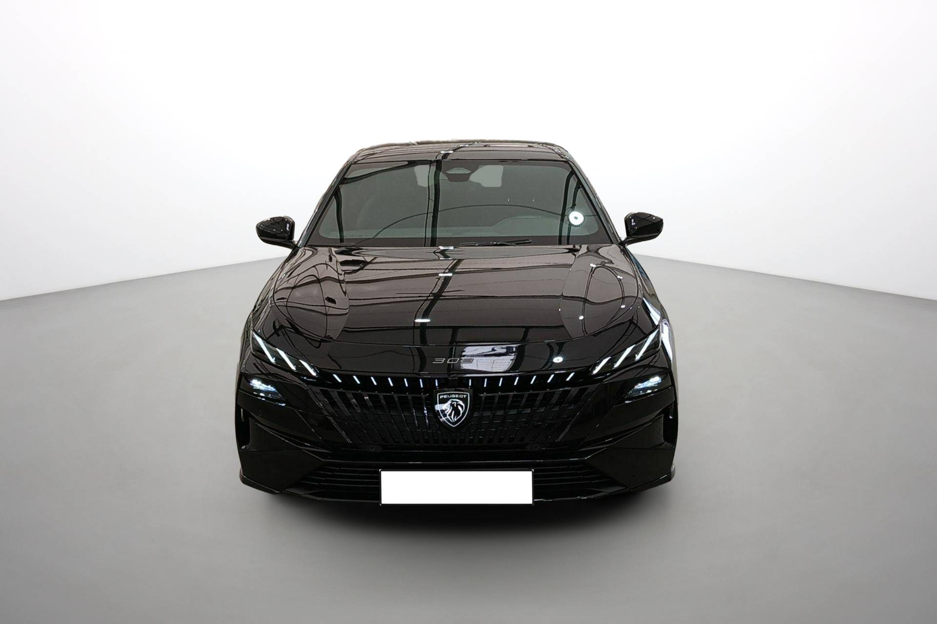 Image véhicule  PEUGEOT Nouvelle 308 (4)
