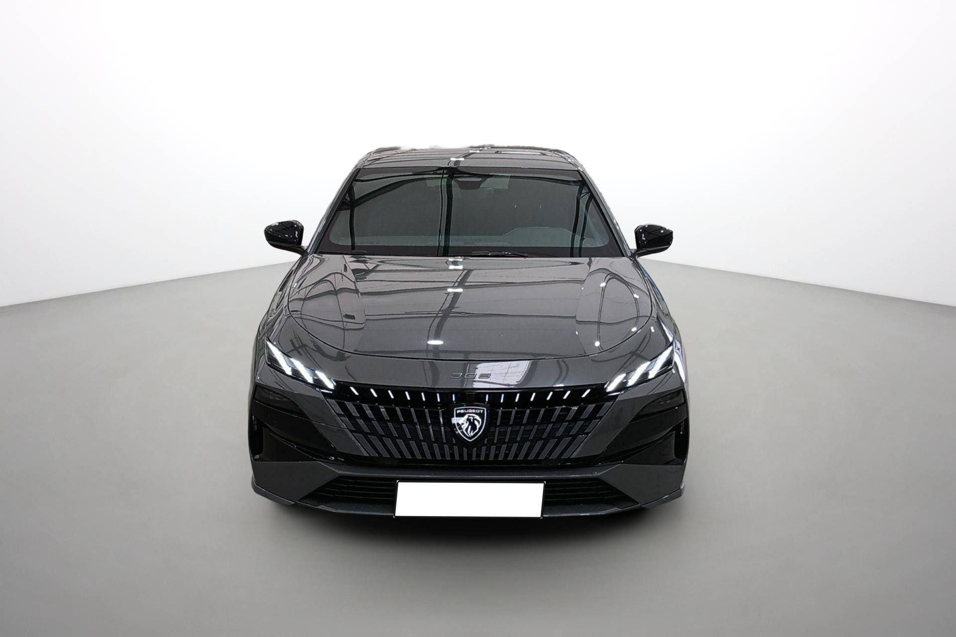 Image véhicule  PEUGEOT Nouvelle 308 (8)
