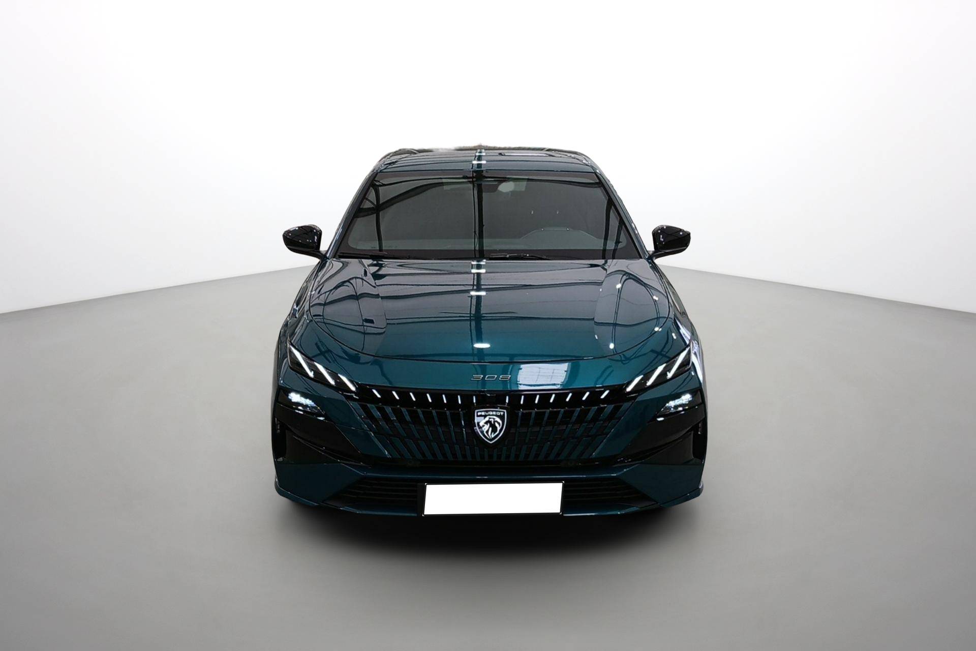 Image véhicule  PEUGEOT Nouvelle 308 (8)