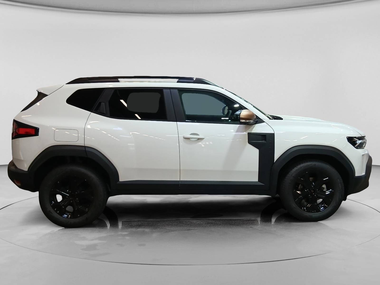DACIA - DUSTER - #878237 - 14